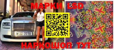 сатива Заволжье