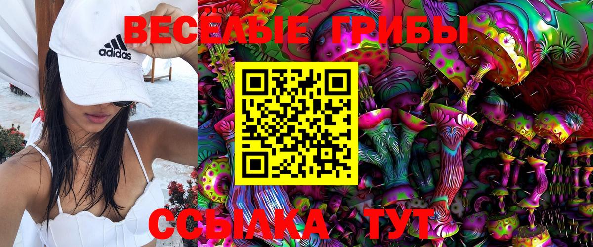 Галлюциногенные грибы Cubensis Ливны